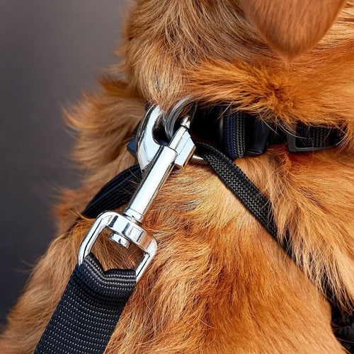 Conjunto de 2 coleiras de segurança para cães, com conector para cinto de segurança de carro/SUV, ajustáveis.