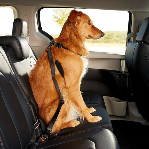 Conjunto de 2 coleiras de segurança para cães, com conector para cinto de segurança de carro/SUV, ajustáveis.