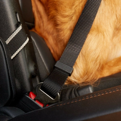Conjunto de 2 coleiras de segurança para cães, com conector para cinto de segurança de carro/SUV, ajustáveis.